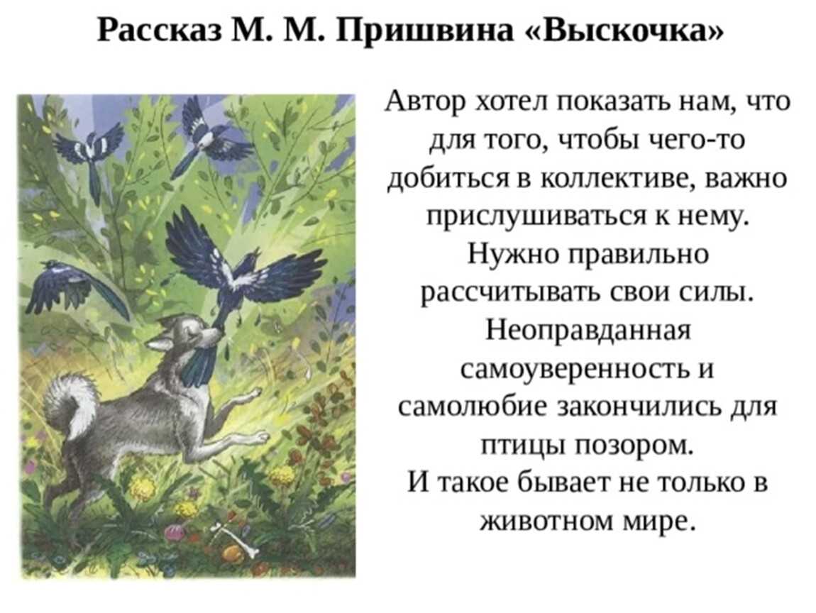 Образец заполнения читательского дневника по рассказу Пришвина