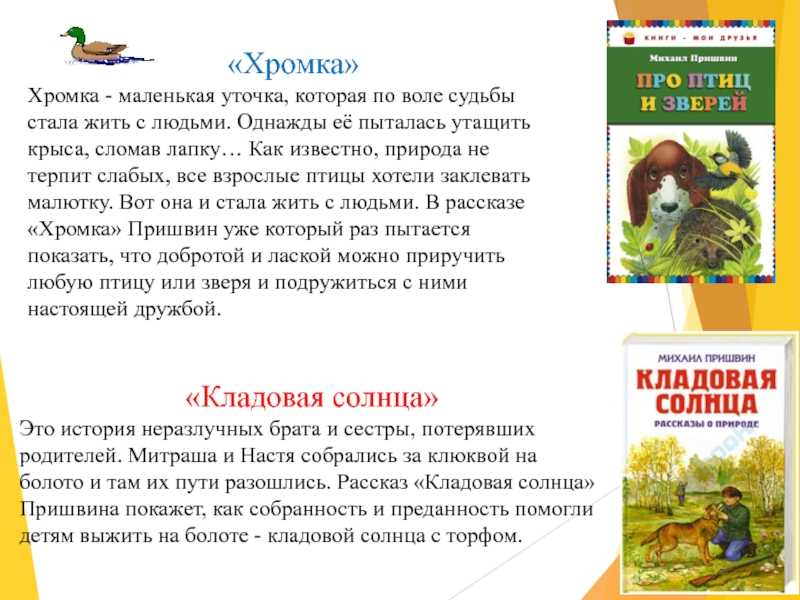 Рассказ «остров спасения»