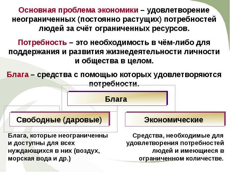 Экономика и ее роль в жизни общества кратко (10 класс)