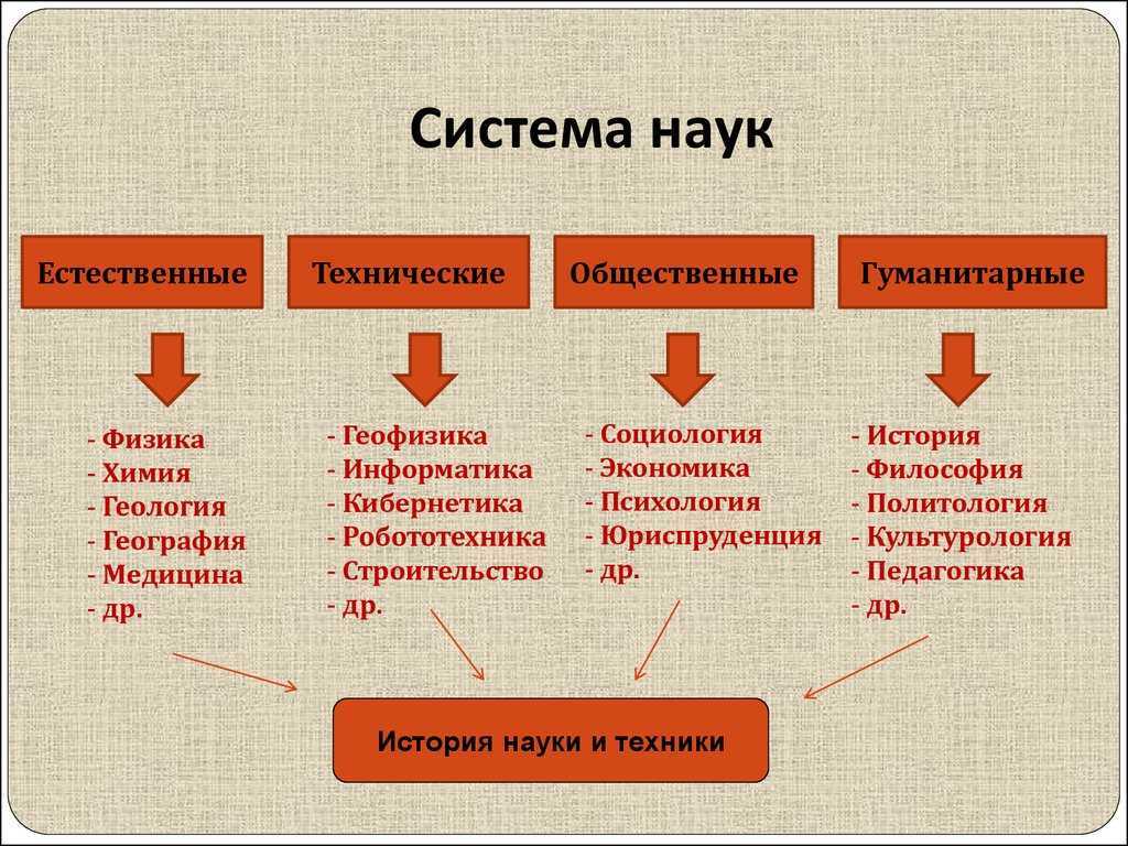 Что такое экономика? основные вопросы в экономике