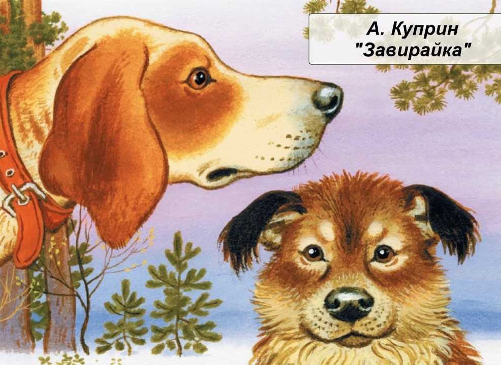 О чем рассказ собачье счастье. главные герои рассказа. другие пересказы и отзывы для читательского дневника
