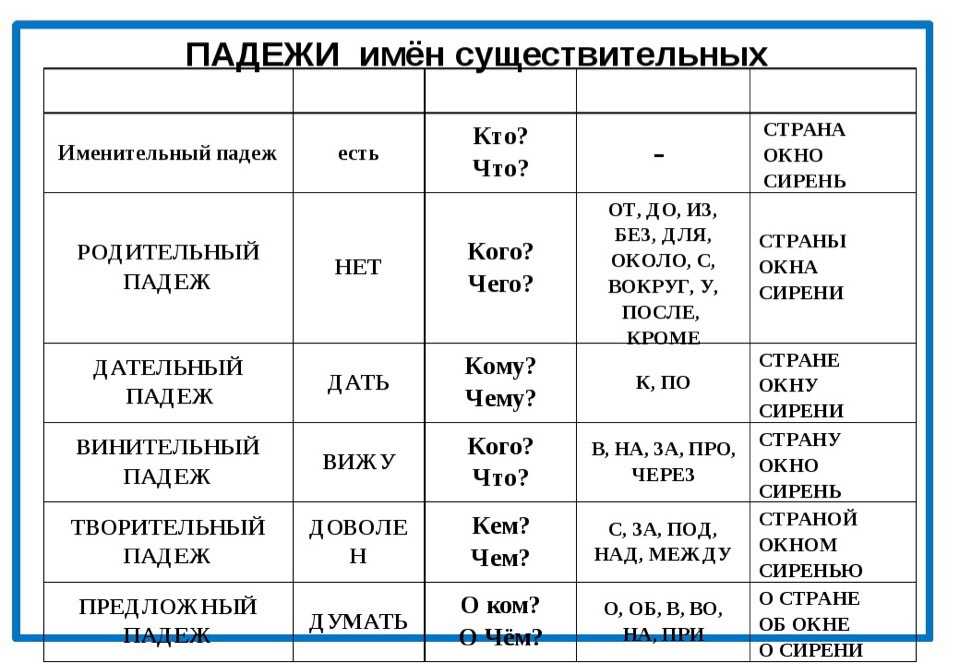 Морфология в спермограмме. спермограмма по крюгеру.