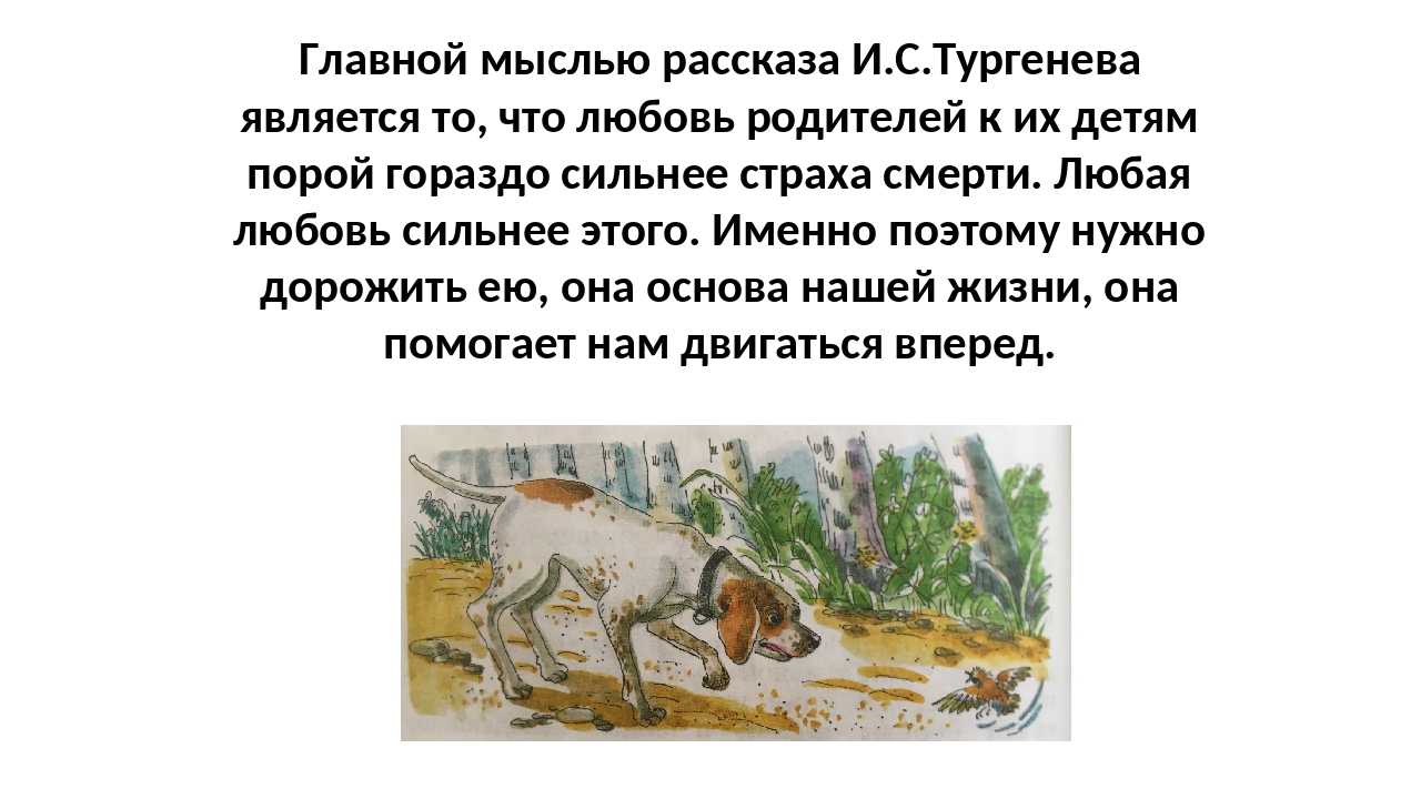 Проблема в рассказе тургенева воробей. анализ стихотворения в прозе тургенева «воробей