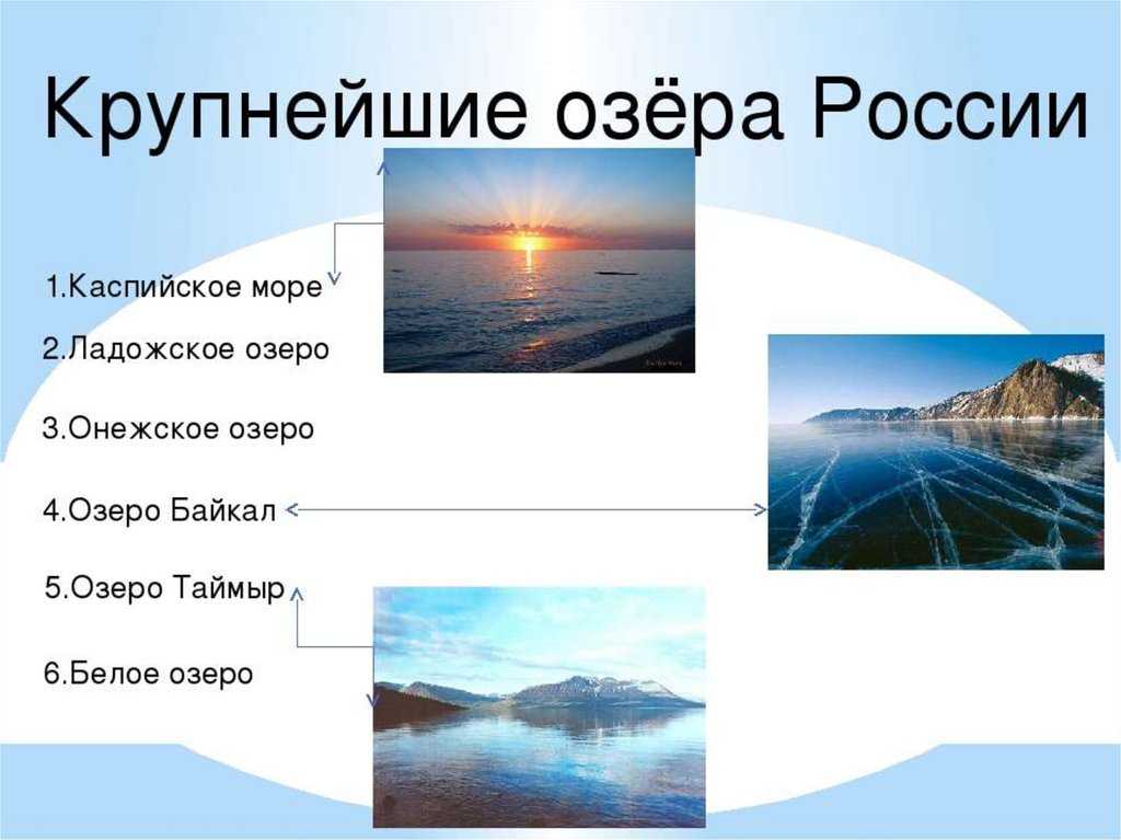 Внутренние  и окраинные моря россии: сколько омывает территорию, где на карте и их названия