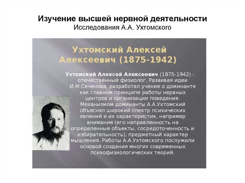 Презентация на тему "вклад ученых в учение высшей нервной деятельности" по биологии для 8 класса