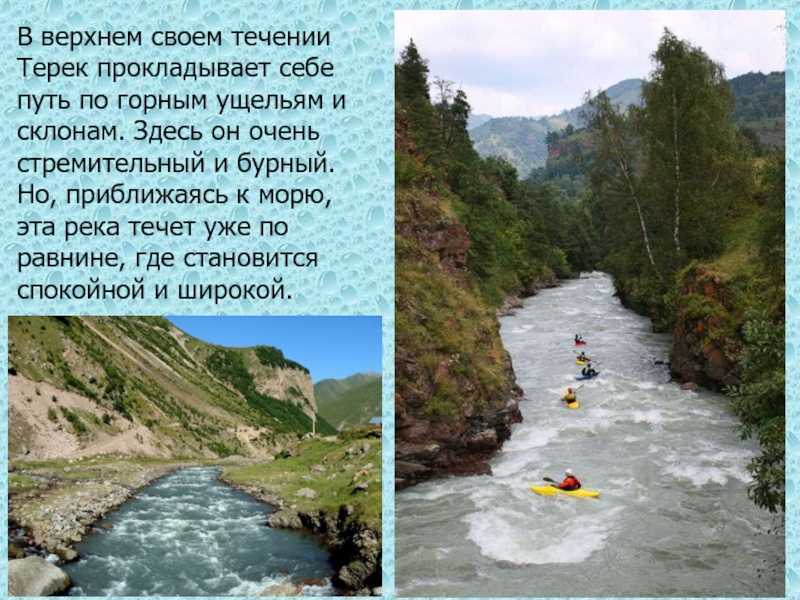 Михаил лермонтов — дары терека - abakumovka