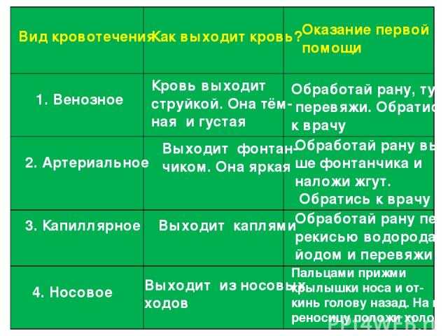 Гдз по биологии 8 класс учебник пасечник, суматохин, гапонюк