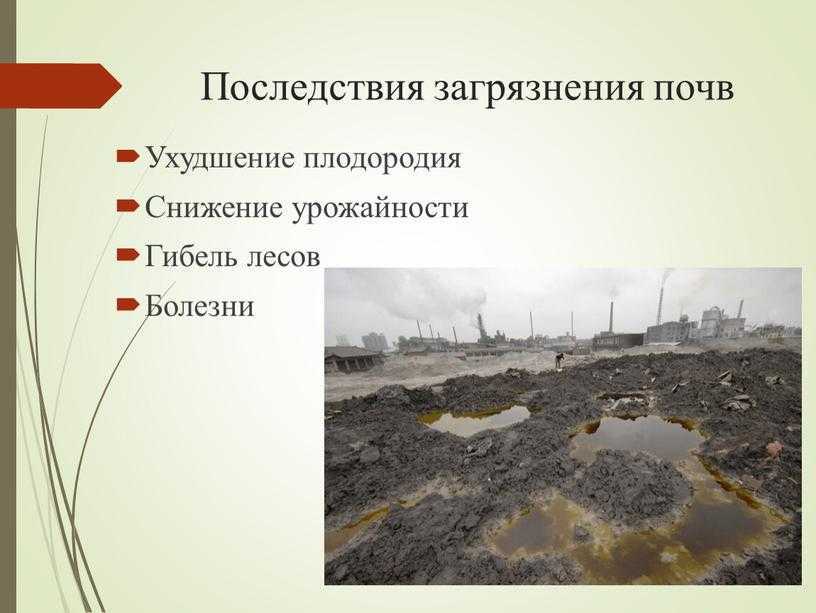 Экологические ⭐ проблемы: характеристика, причины возникновения, возможные пути решения