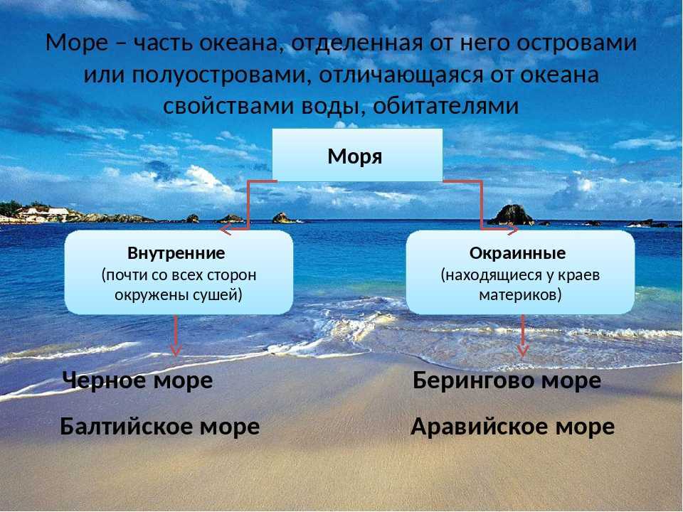 Сколько океанов на земле: перечисляем названия водоёмов с характеристиками, их особенности, описание и секреты