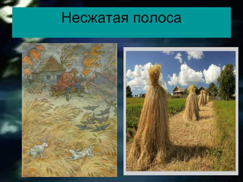 Некрасов «несжатая полоса»
