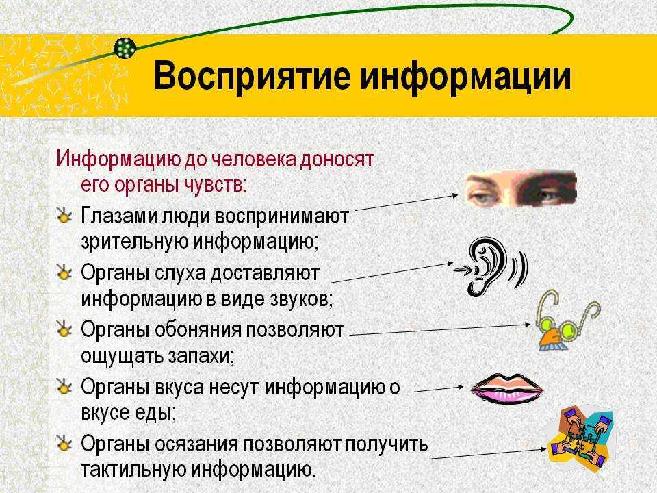Информационные процессы и их особенности (информатика, 10 класс): способы сбора и особенности хранения данных