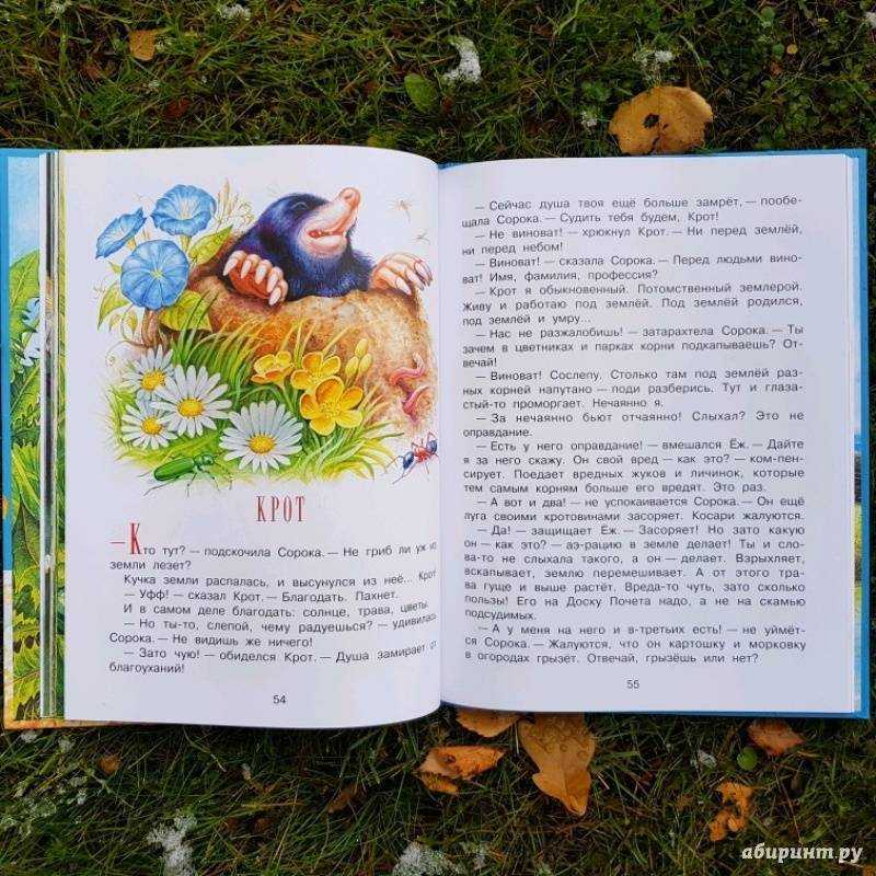 Сладков. бюро лесных услуг - педагог