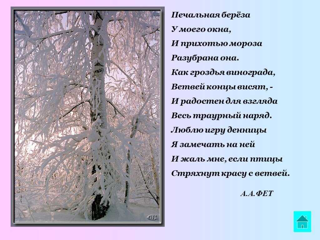 Нод для детей средней группы с онр. заучивание стихотворения а. фета «кот поёт, глаза прищуря…». воспитателям детских садов, школьным учителям и педагогам - маам.ру