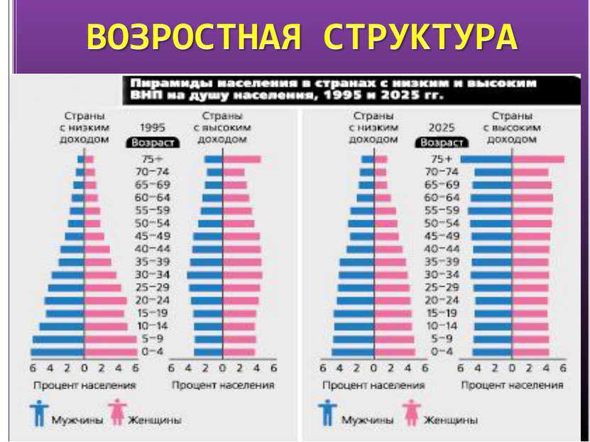 Население земли: численность, плотность, динамика, инфо