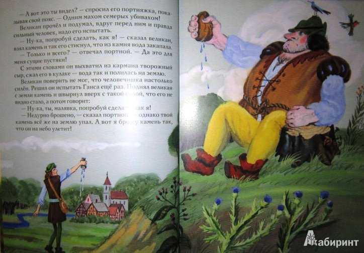 Краткое содержание золотой гусь гримм для читательского дневника. золотой гусь братья гримм главные герои