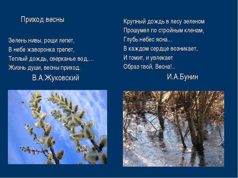 Анализ стихотворения «весна, весна! как воздух чист» баратынского