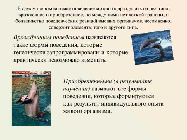 Гдз по биологии 8 класс учебник пасечник, суматохин, гапонюк