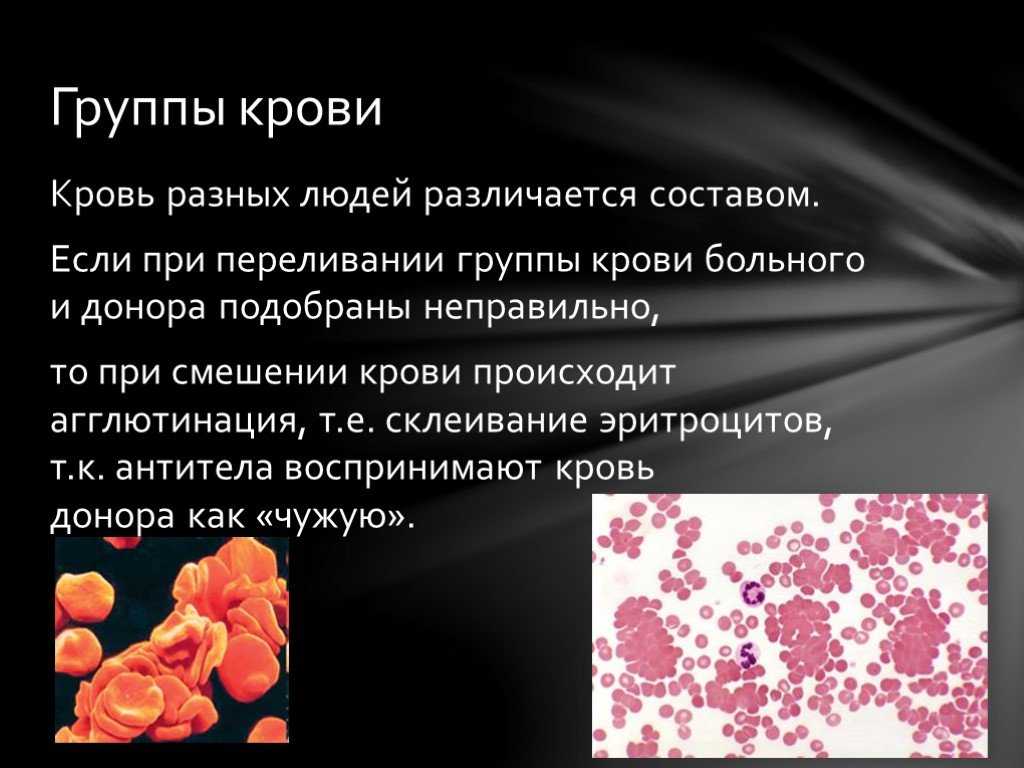 Биология пасечник учебник глава 8 | частная школа. 9 класс