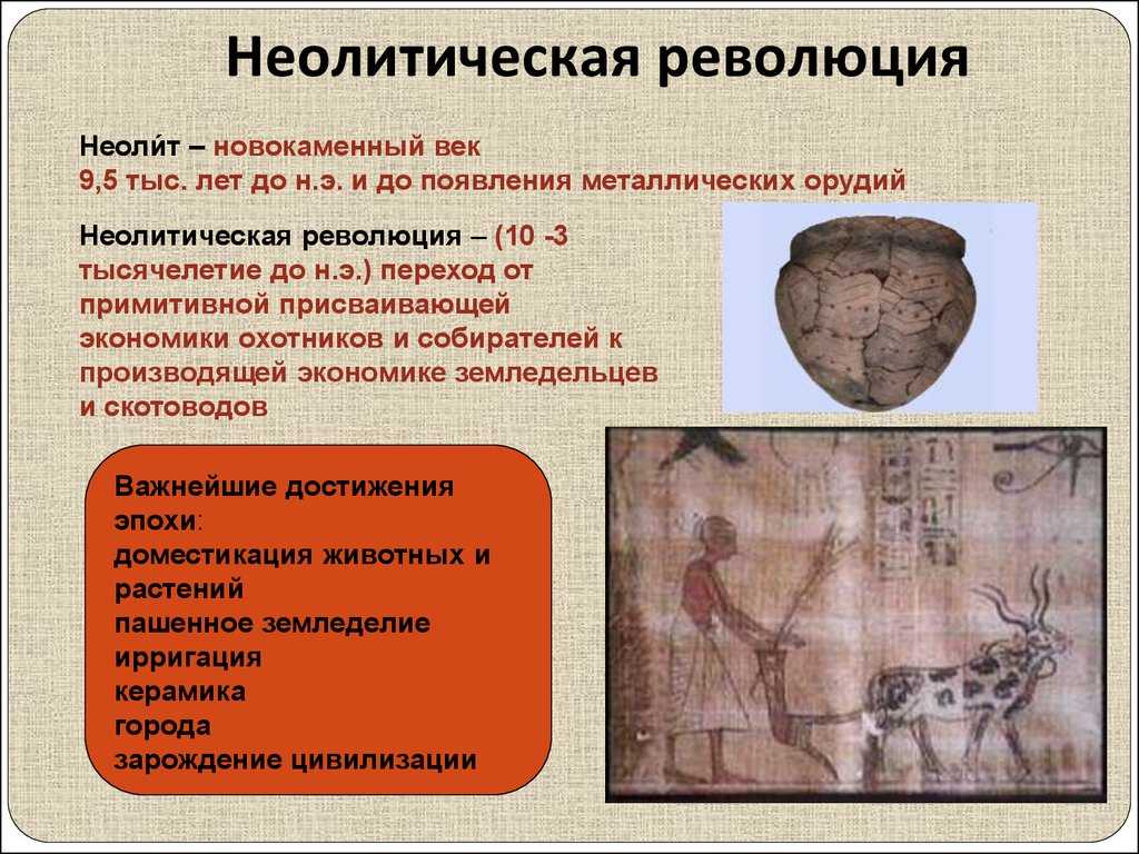 Каменный век. часть 1. палеолит (3 млн — 13 тыс лет назад).