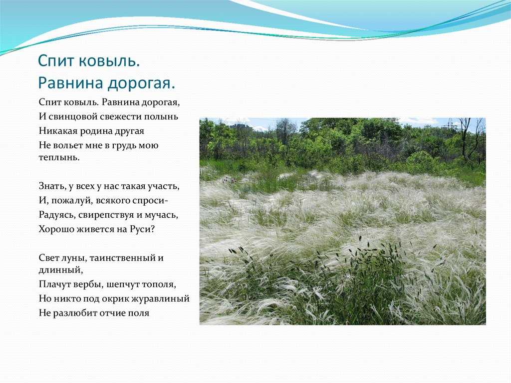 Анализ стихотворения есенина спит ковыль 1925