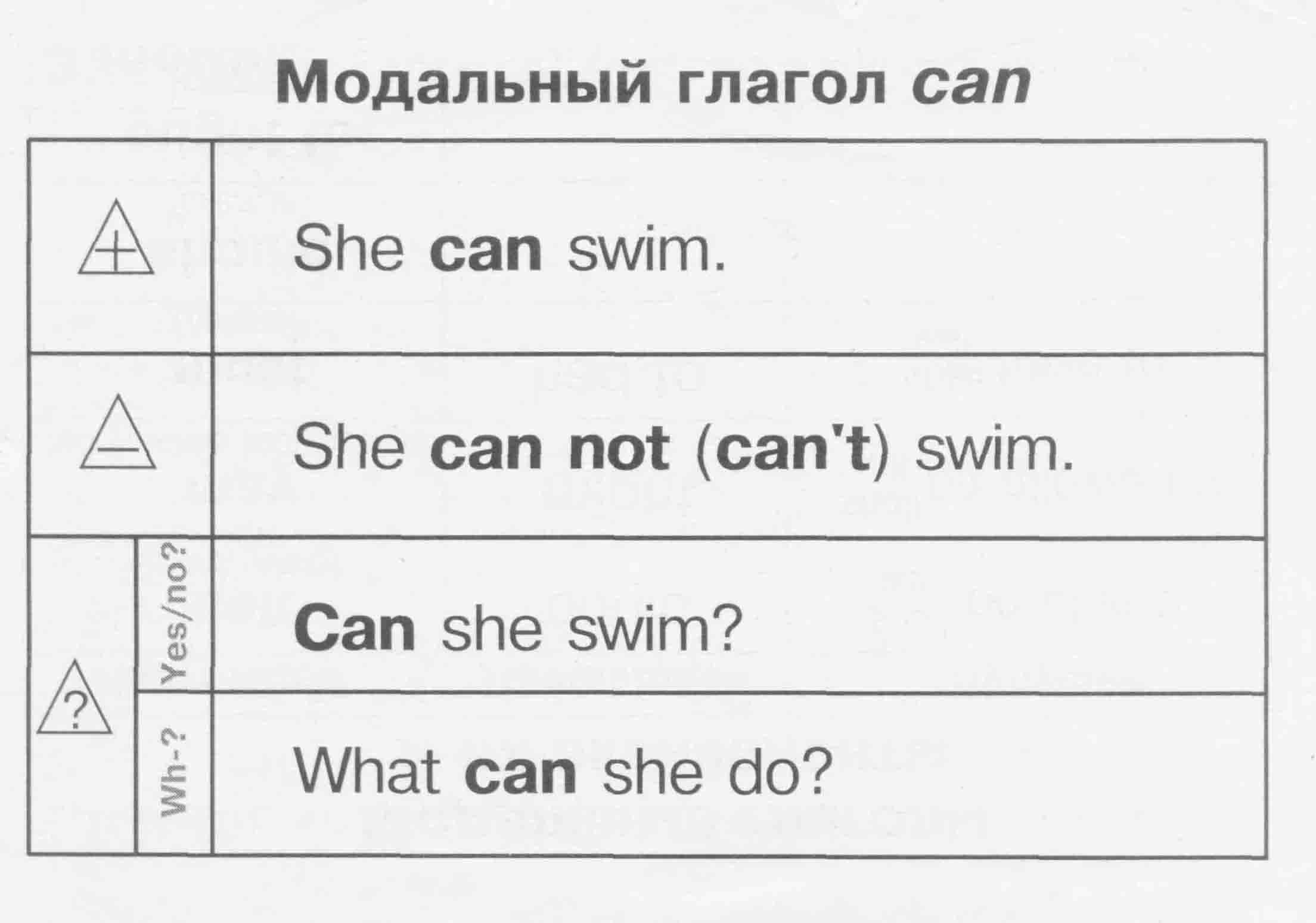 Дикие животные