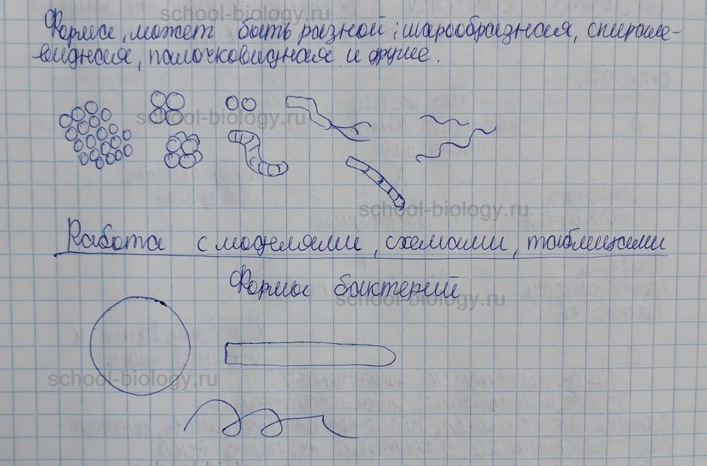§ 16. иммунитет. нарушения иммунной системы человека. вакцинация