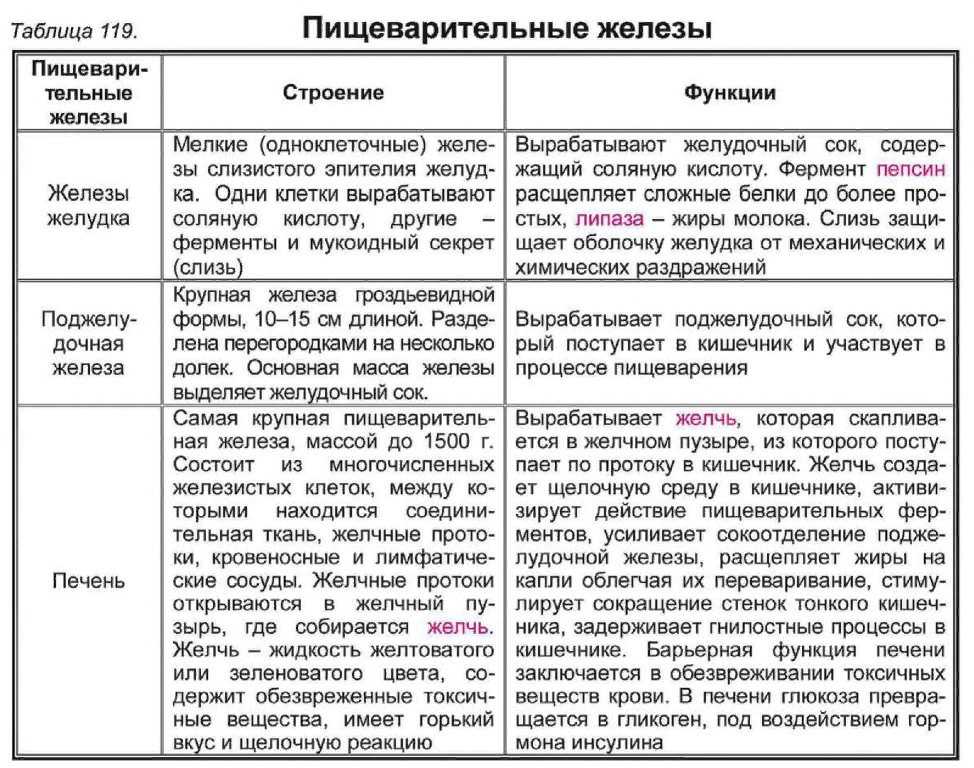 § 27. всасывание питательных веществ в кровь