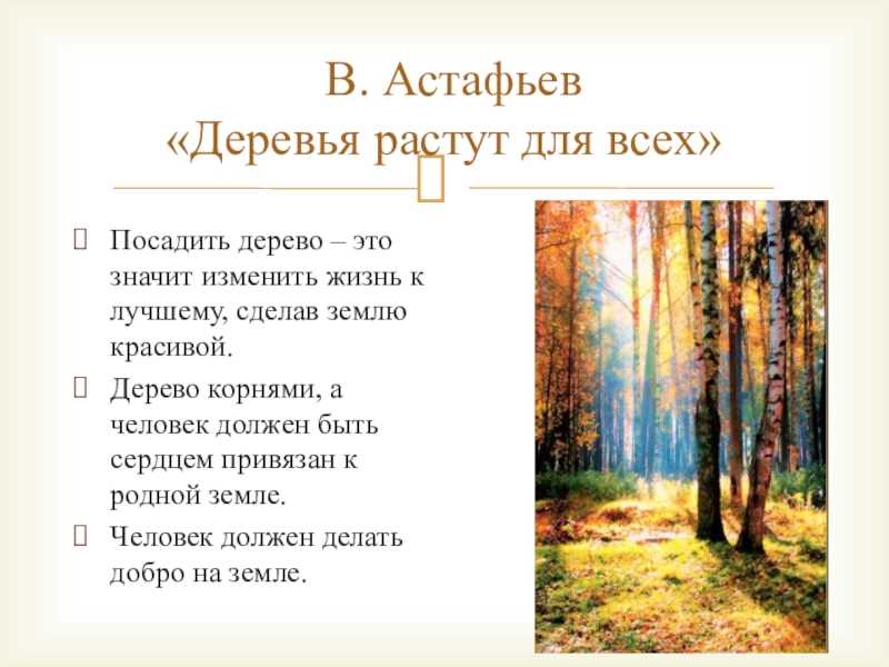 Краткое содержание астафьев последний поклон для читательского дневника