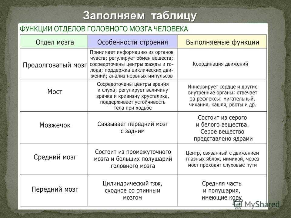 Гдз по биологии 8 класс пасечник, суматохин, учебник просвещение 2023