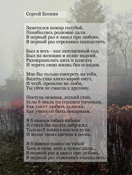 Анализ стихотворения «заметался пожар голубой» есенина