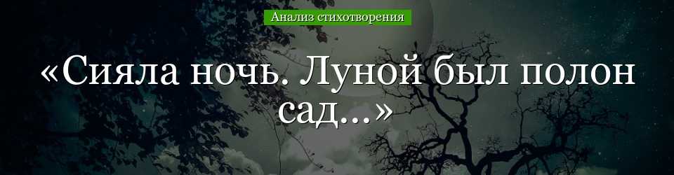 "сияла ночь" - анализ стихотворения афанасия афанасьевича фета