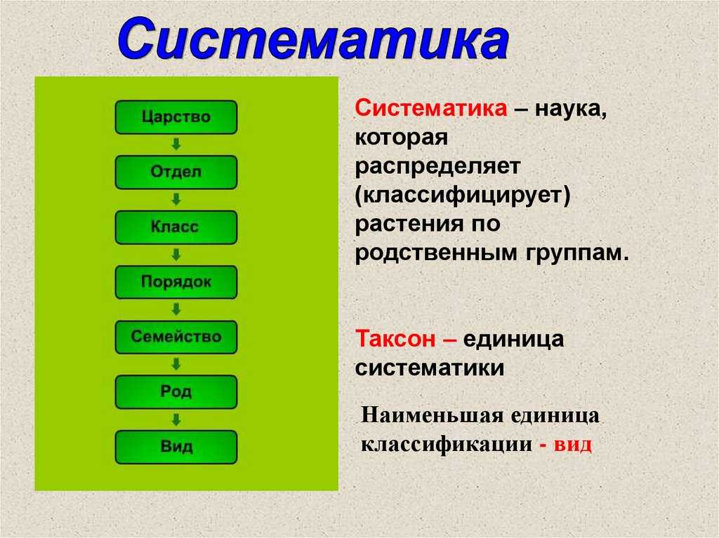 Конспект "растительная клетка и ее строение" - учительpro