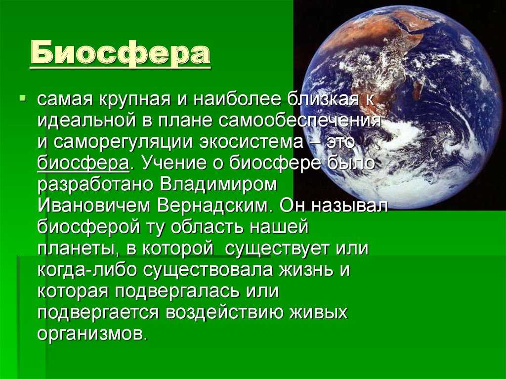 Учение в. и. вернадского о биосфере - барабанова о.а. и др. экология