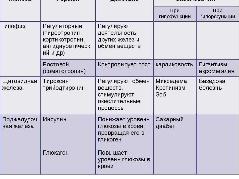 § 38. железы внутренней секреции и их функции