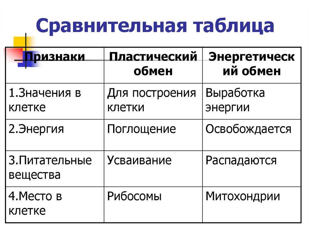 Обмен веществ и энергии в клетке