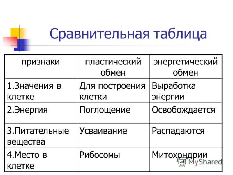 Пластический и энергетический обмен. биология 8 класс. пасечник
