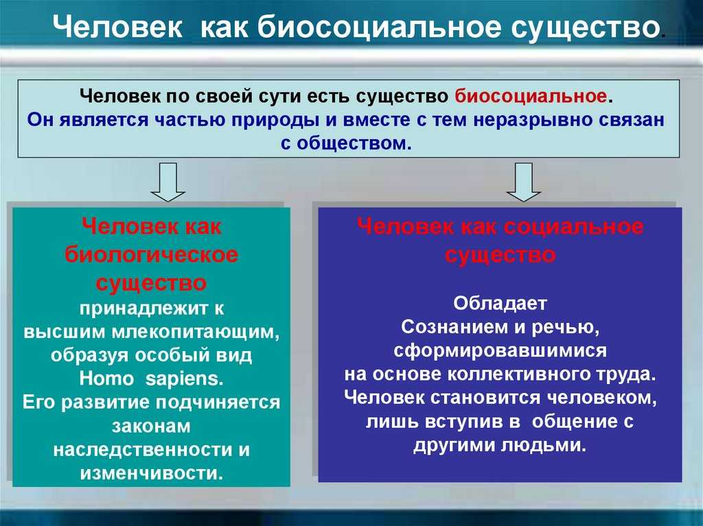 Происхождение  человека: теории, современные научные гипотезы, точки зрения