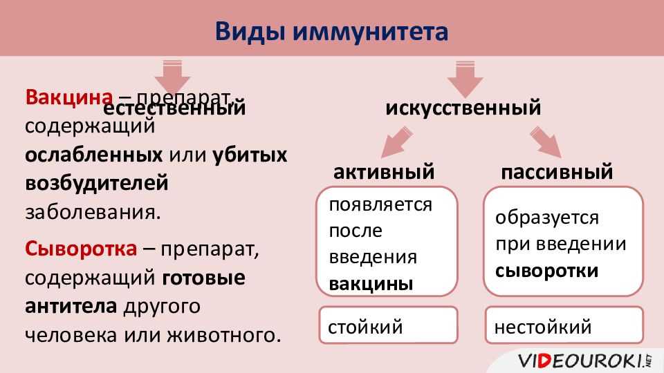 Гдз по биологии за 8 класс  линия жизни в. в. пасечник, а. а. каменский