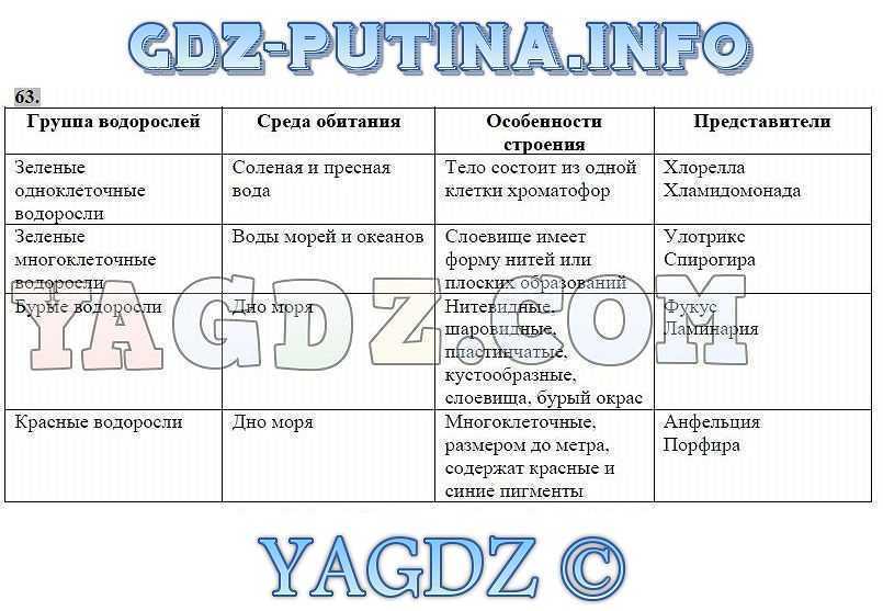 Гдз по биологии 5 класс рабочая тетрадь пасечник