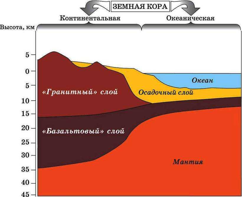 Строение земной коры – из чего состоит, определение, характеристики, виды и состав кратко (6 класс, география)