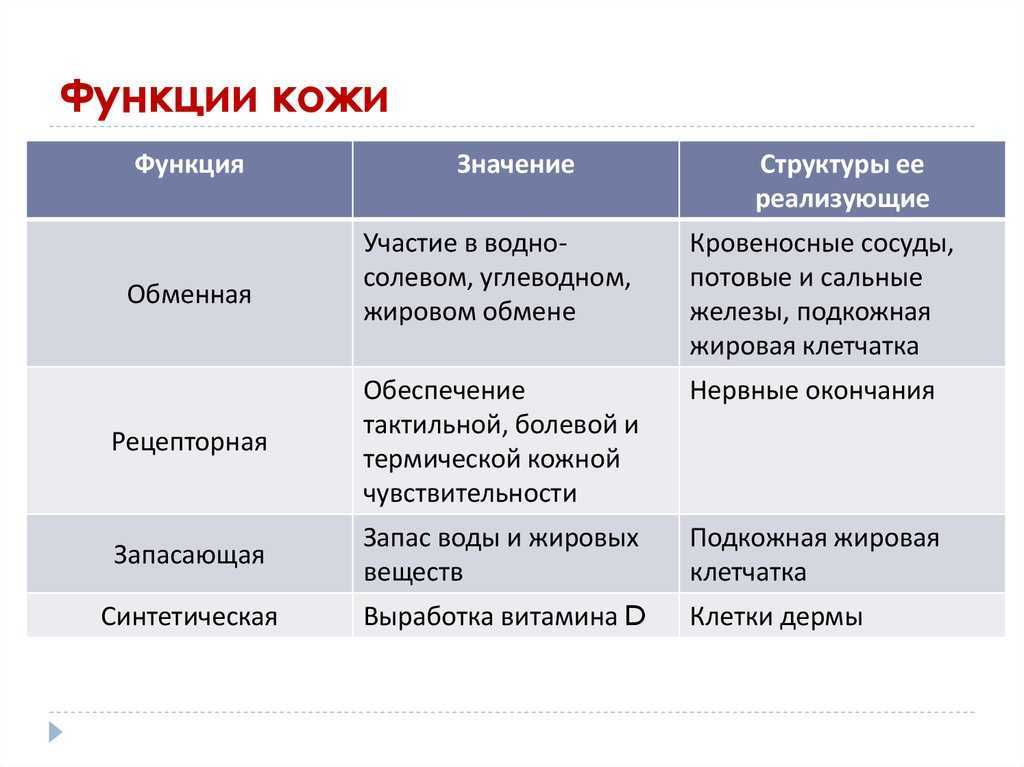 § 36. болезни и травмы кожи - илюшар - база знаний