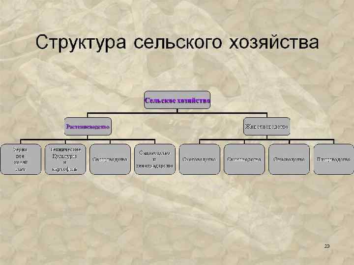 1.1 сельское хозяйство как главное звено агропромышленного комплекса россии. организация производства технических культур - курсовая работа