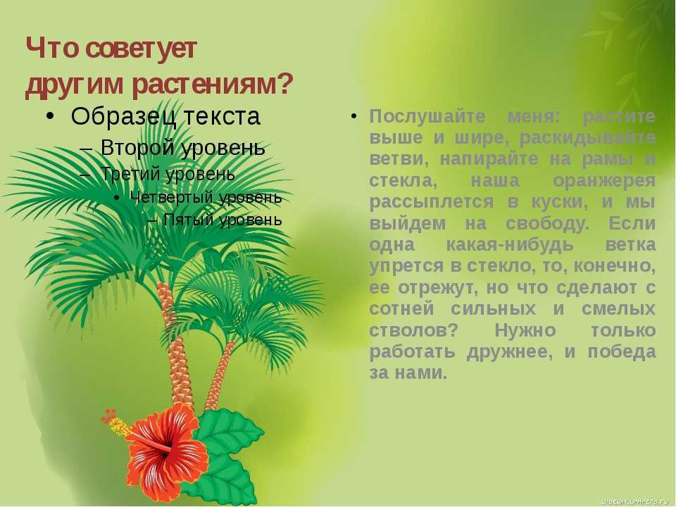 Всеволод гаршин attalea princeps краткое содержание. детские сказки онлайн. другие пересказы и отзывы для читательского дневника