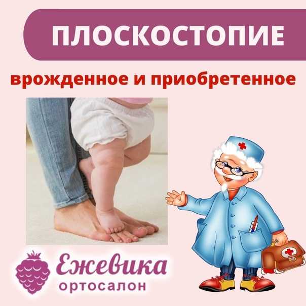 Гдз по биологии 8 класс пасечник, суматохин, учебник просвещение 2023