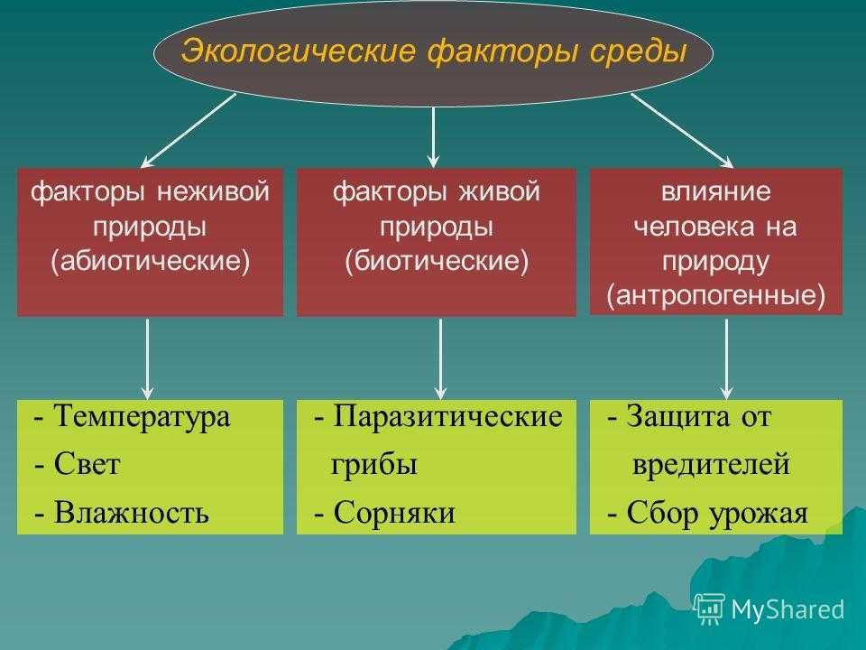 Биология 8 класс. пасечник