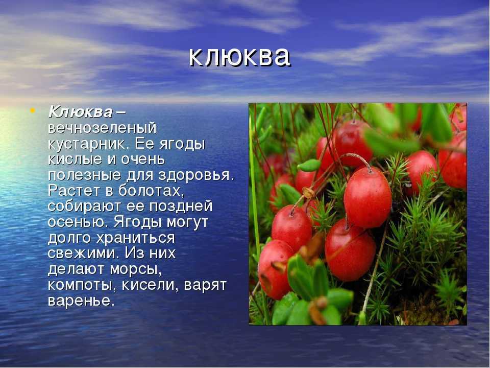 Как оформлять читательский дневник в 8 классе: примеры оформления, образцы