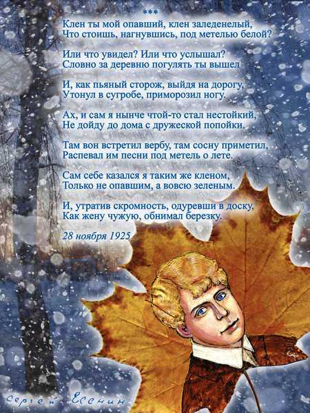 Сергей есенин — клён ты мой опавший: стих