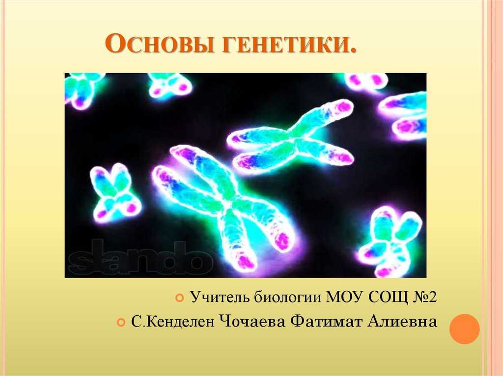 Основы генетики и селекции. основные закономерности наследственности. законы менделя. промежуточное наследование. анализирующее скрещивание. дигибридное скрещивание