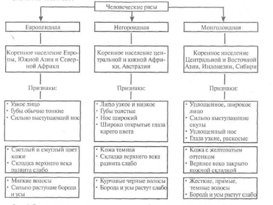 Гдз по биологии 8 класс пасечник, суматохин, учебник просвещение 2023