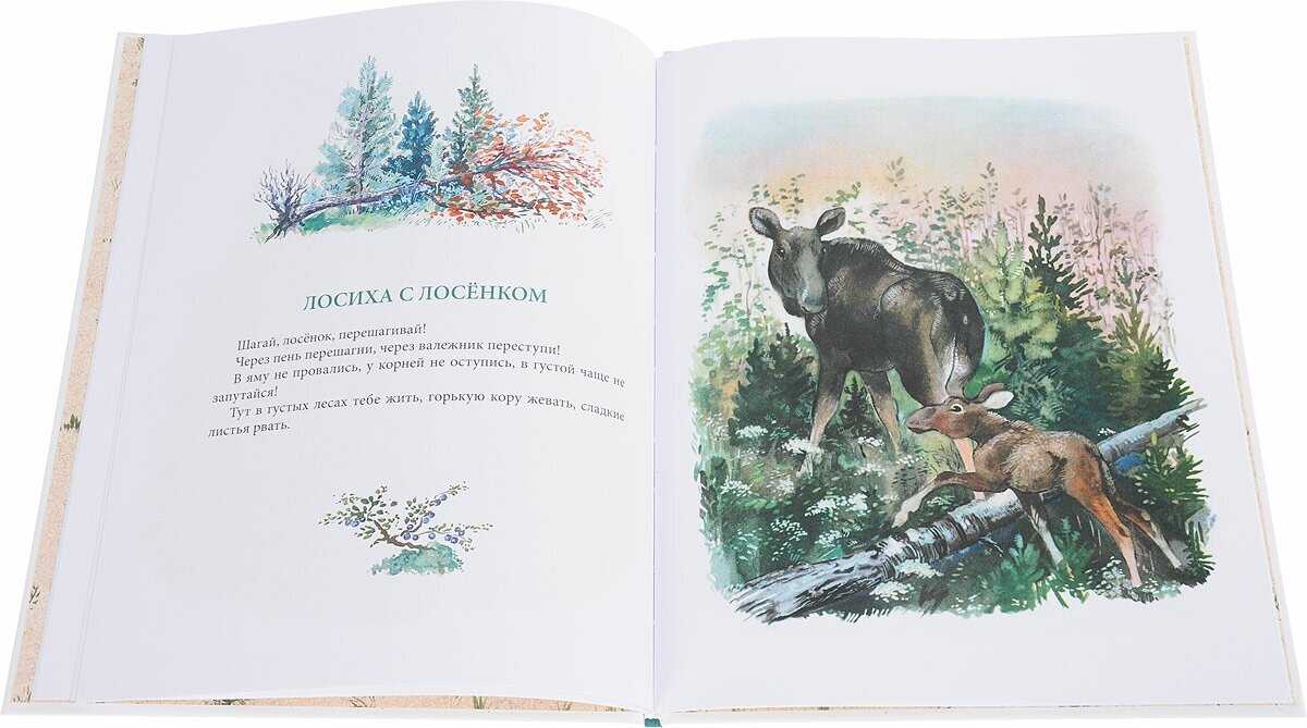 Никита и его друзья читательский дневник: краткое содержание, главные герои, главная мысль, чему учит, отзыв, пословицы.